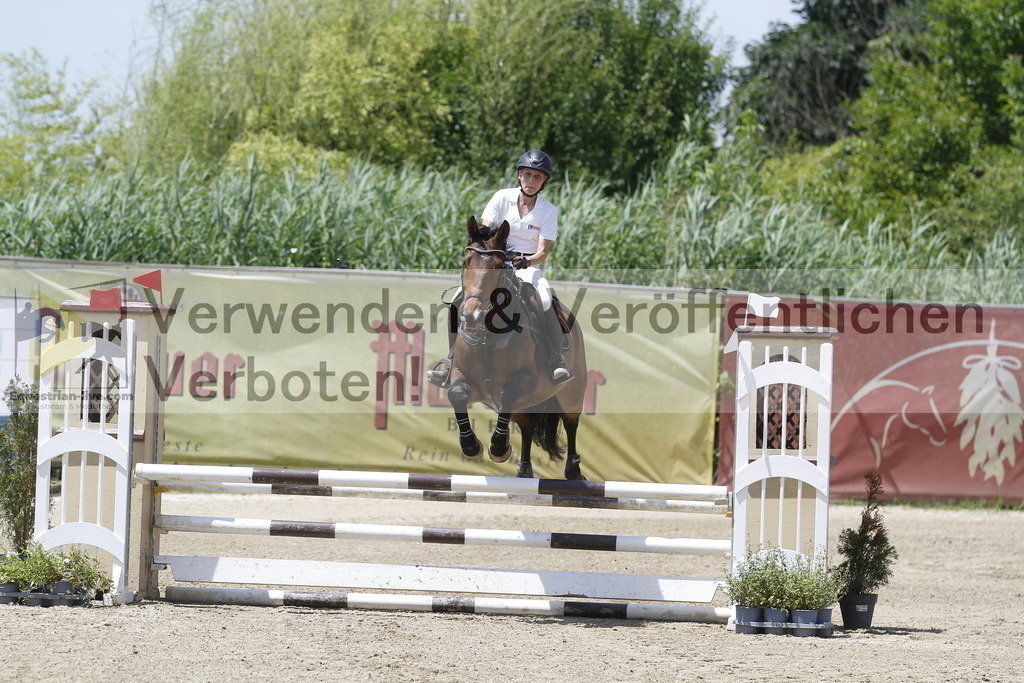 _MG_5106 | equestrian-live-com