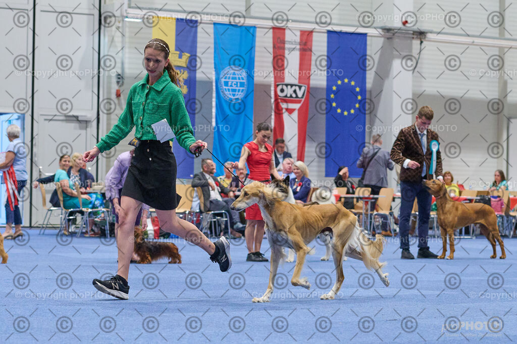 202406_ÖKV-IHA-Tulln24_DSC_3405 | proPHOTO - Realisiert mit Pictrs.com