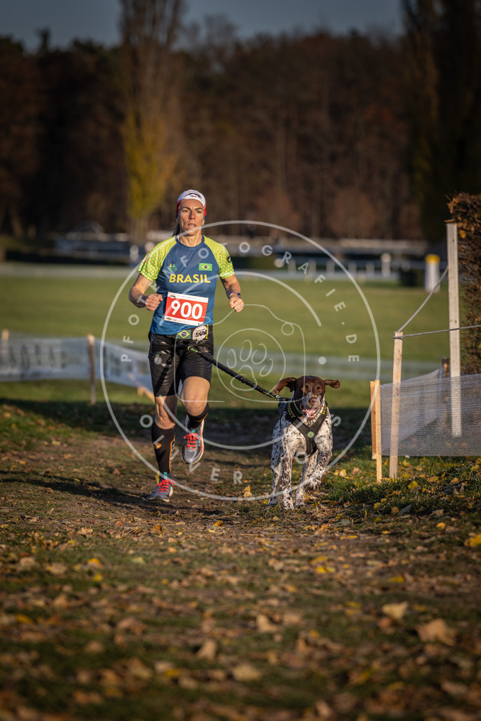 CaniXpix_DV3A3925 | Hundefotografie, Tierfotograf, Pfotenfotografie, Fotoshooting Hund, Hunde Portrait, Hundesport, Hundeportraits, Heideshooting, Hunde, Sportfotograf, Hundefotograf, Turnierhundsport, THS,  - Realisiert mit Pictrs.com