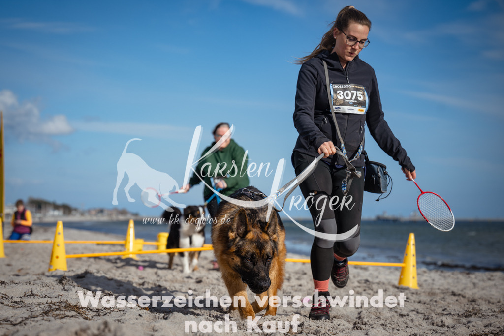 1351_ZZ94037 | kk-dogfotos