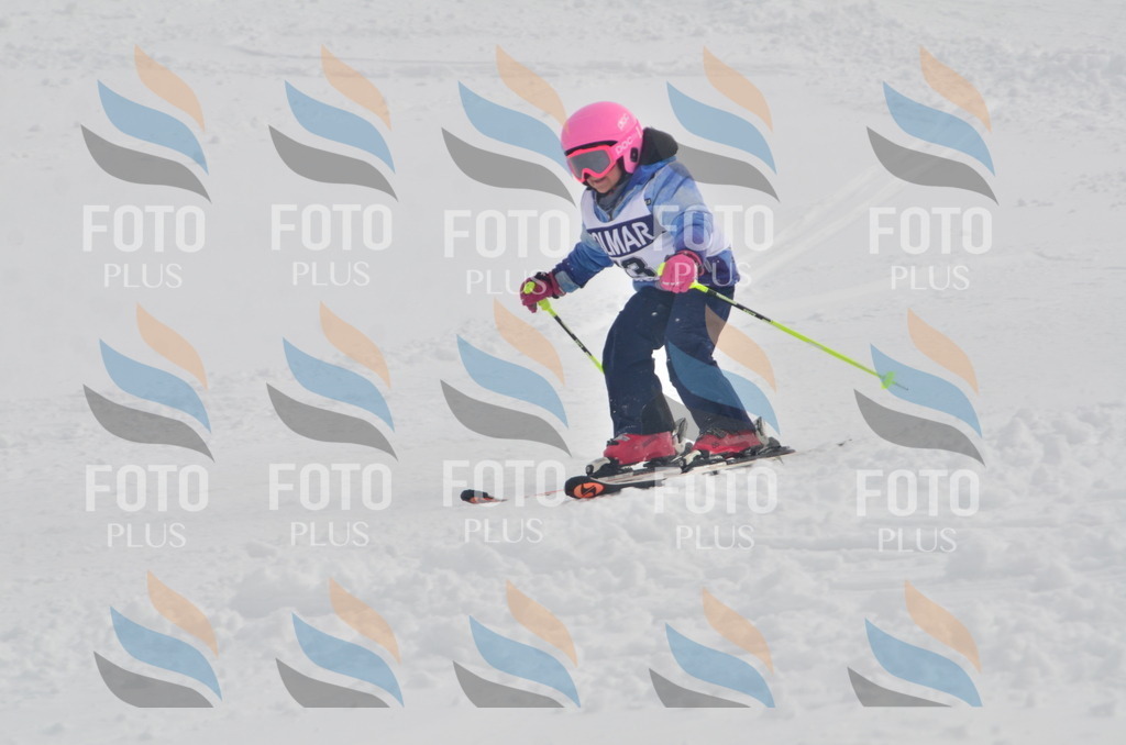 A5094 | holidayphoto