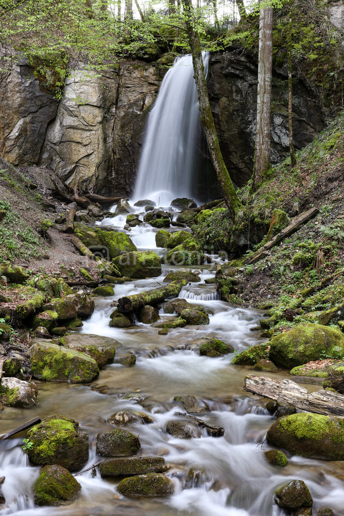 A.Trupina-62 | antonija-trupina - Realisiert mit Pictrs.com