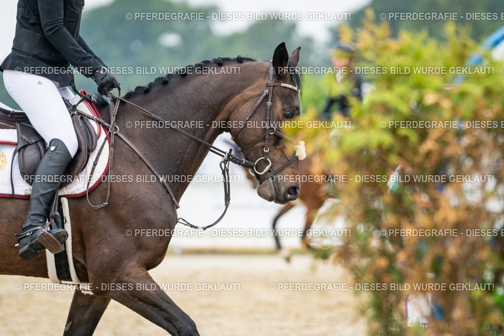 DSC00575 | Pferdegrafie