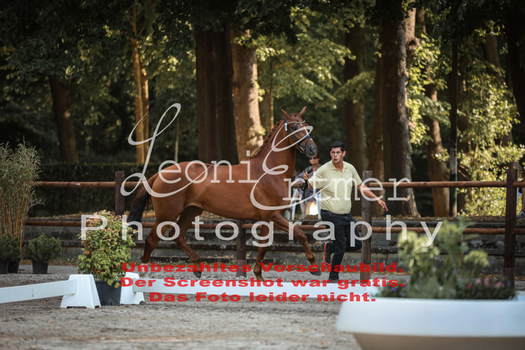 DoER00030 | Leoni Ertmer Photography - Realisiert mit Pictrs.com