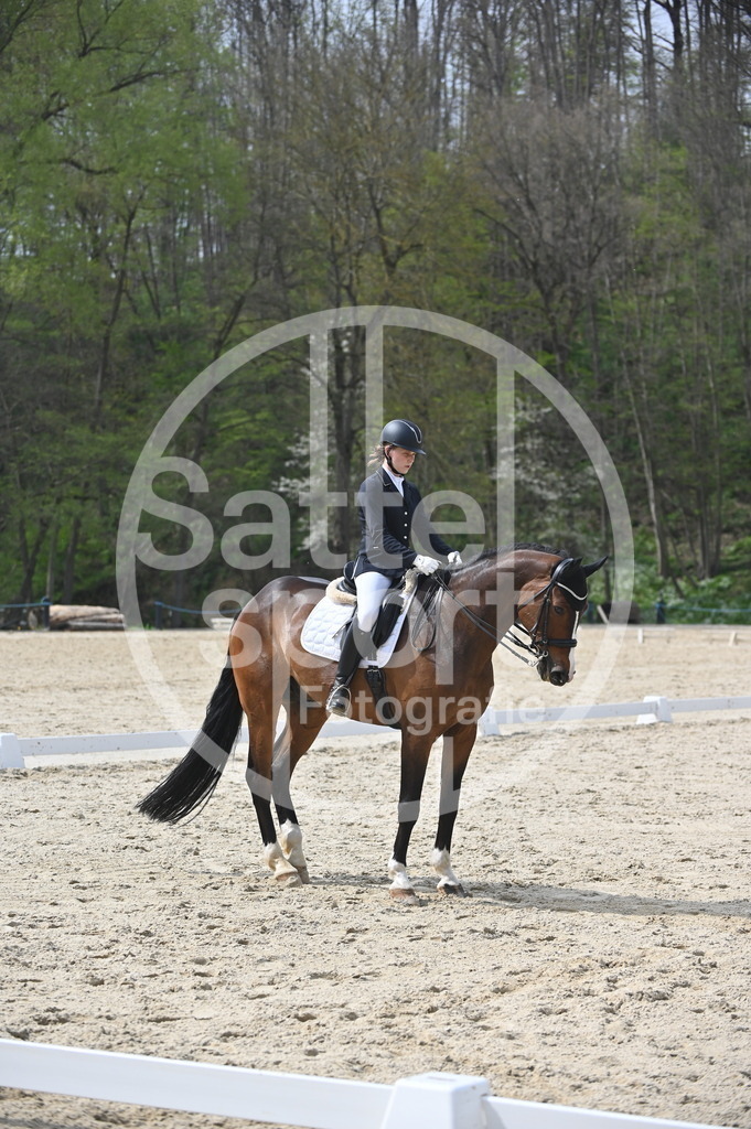 DSC_4186 | sattelsport - Realisiert mit Pictrs.com