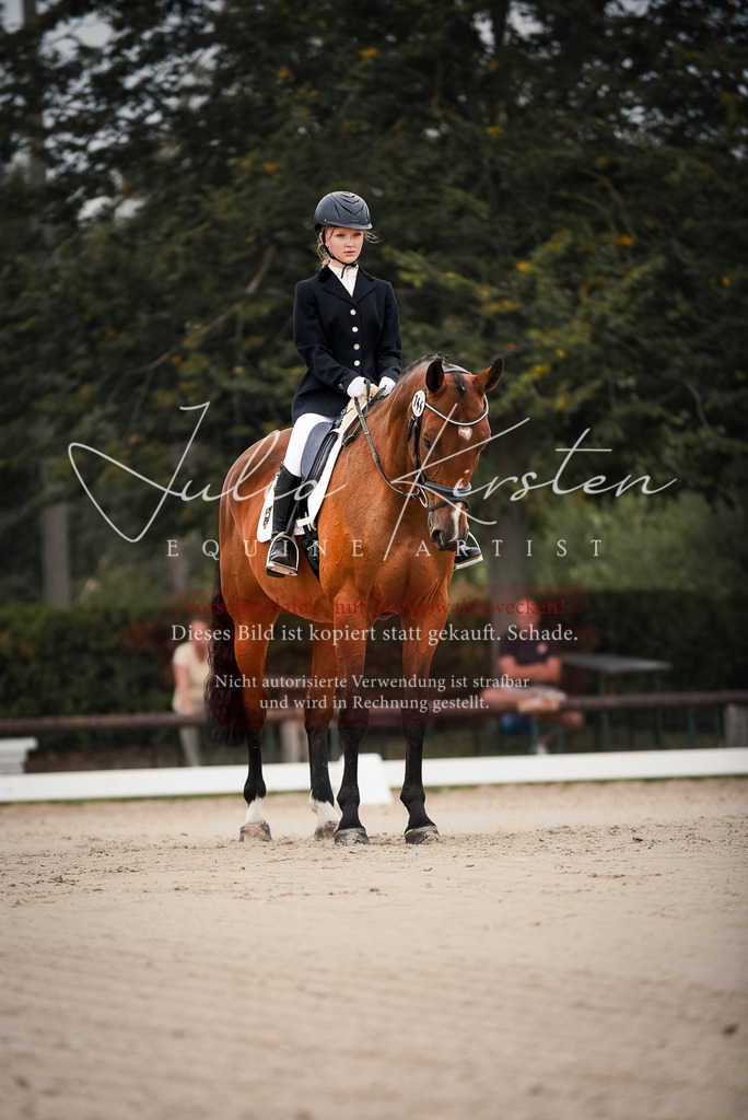 DSC_7998 | Pferde- und Turnierfotografie in Westsachsen. Pferdeportraits, Auftragszeichnungen und intuitive Kunst.