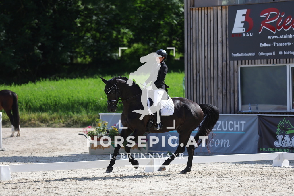 0P6A2495 | Willkommen bei Brunnmayr - Design & Fotografie – Ihrem Spezialisten für Reitturniere und Pferdeveranstaltungen in Oberösterreich, Salzburg und Bayern! Seit über 17 Jahren sind wir leidenschaftlich dabei.