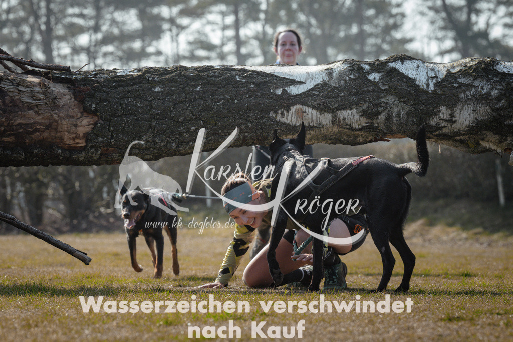 1129_ZZ95267 | kk-dogfotos