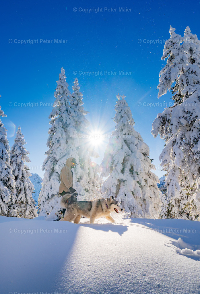 NLW_Husky_Koller_Winter_2024_Peter_Maier-307 | piet_flosse
