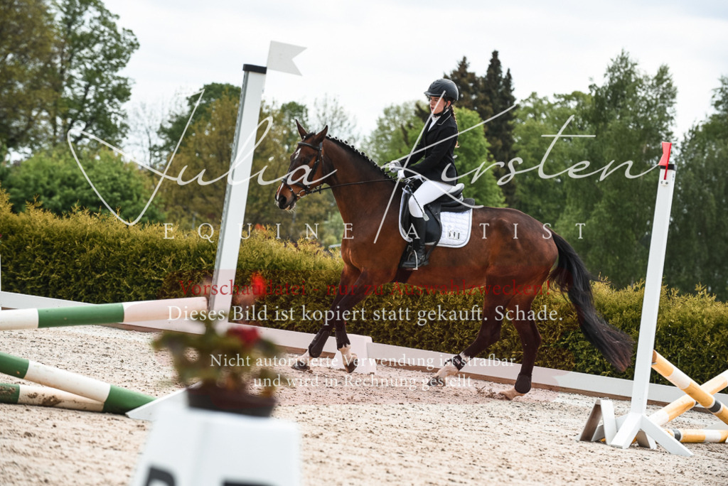 20230518_JK-Röhrsdorf-10-175 | Pferde- und Turnierfotografie in Westsachsen. Pferdeportraits, Auftragszeichnungen und intuitive Kunst.