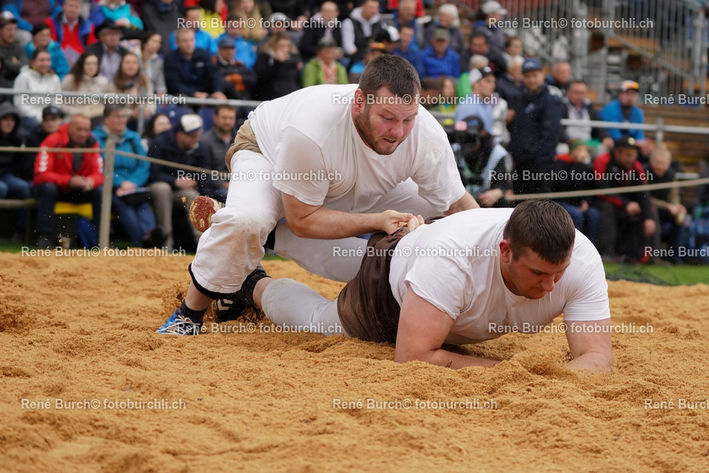 20220508-DSC04381 (2)-2 | René Burch leidenschaftlicher Fotograf aus Kerns in Obwalden.  Hier finden sie Sport, Landschaft und Natur Fotografie.
 - Realisiert mit Pictrs.com