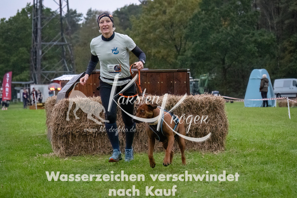 0826-_ZZ91250-Bearbeitet | kk-dogfotos
