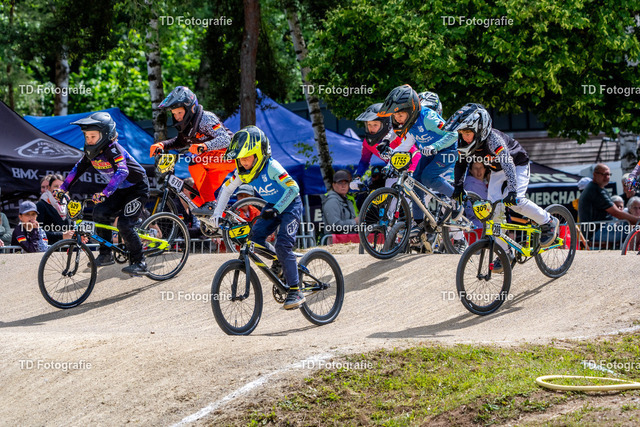 BayBMX2026-06694 | Fotogalerie von Thomas Dettweiler mit Eventbildern und lizenzfreien Fotos. Perfekt als Wandbild, für Büro, Website oder private Nutzung. - Realisiert mit Pictrs.com