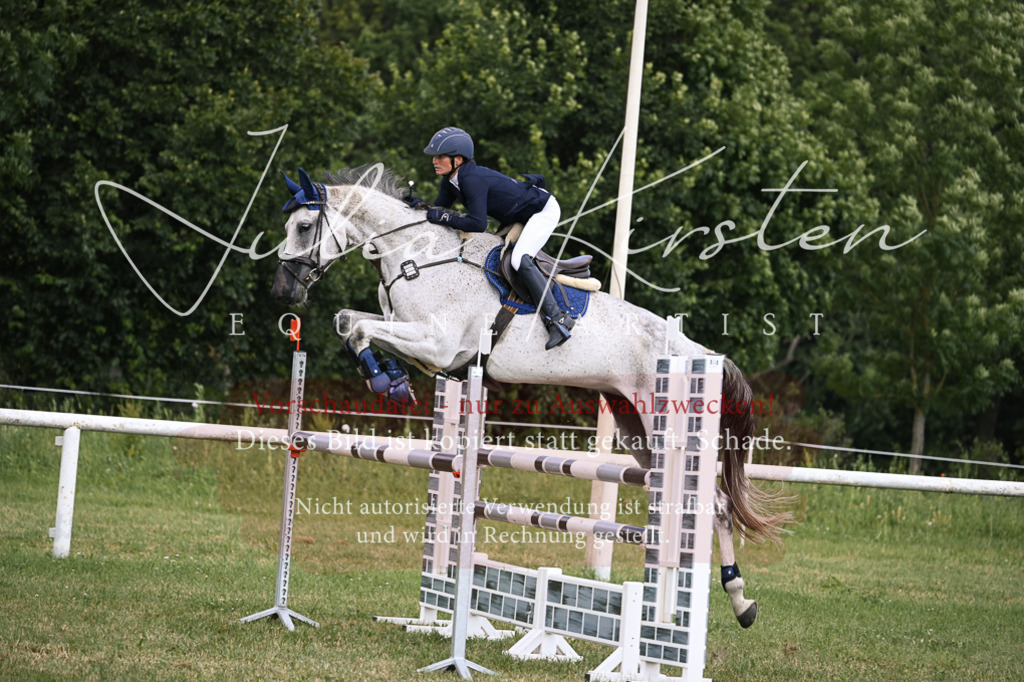 DSC_0946 | Pferde- und Turnierfotografie in Westsachsen. Pferdeportraits, Auftragszeichnungen und intuitive Kunst.