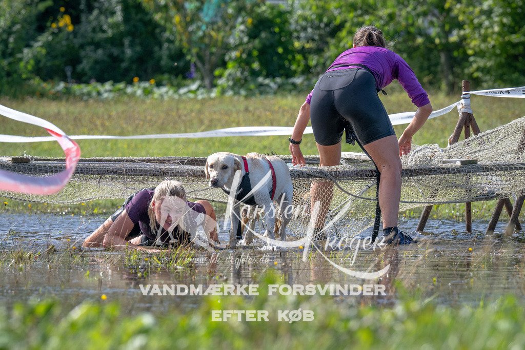 1137_ZZ90702 | kk-dogfotos