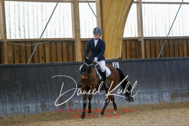 IMG_0737 | Turniersportfotografie; Pferdefotografie; Dressurfotografie
