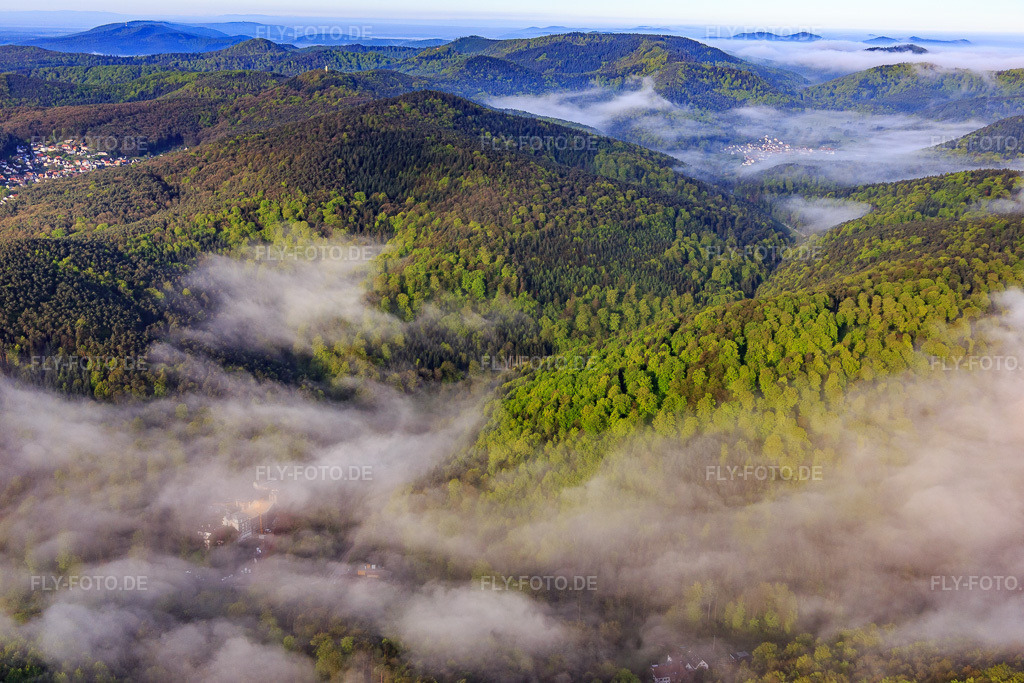 Luftbild: Morgennebel überm Erlenbach in Bad Bergzabern im Bundesland Rheinland-Pfalz in Deutschland. Foto: IMG_113765.jpg vom 29.04.2019 durch Werner Riehm/FLY-FOTO.de