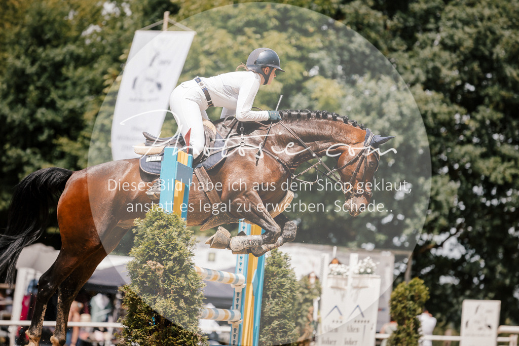 3I6A7904 | Stimmungsvolle Portraits und Reitsportfotografie im Ruhrgebiet und im Münsterland.

Pferdefotografie, Hundefotografie, Tierfotografie, Reportagen, Portraits von Tier und Mensch, Turnierfotografie in Bochum, Recklinghausen, Marl, Haltern am See, Dülmen.. - Realisiert mit Pictrs.com