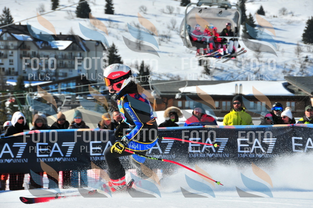 DSC_3871 | holidayphoto