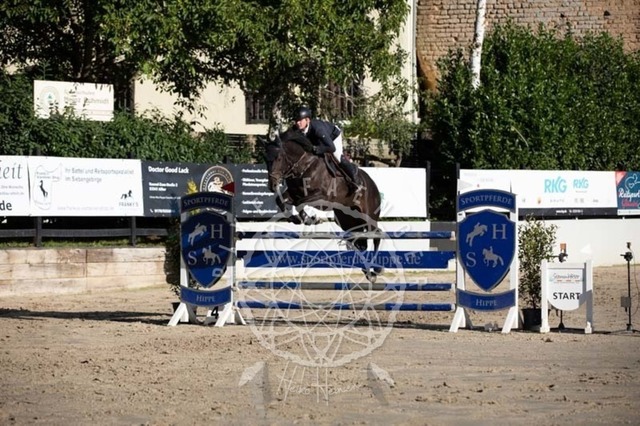 2B4A0770 | pixelfaenger - Realisiert mit Pictrs.com