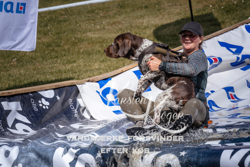 _ZZ932980937 | kk-dogfotos