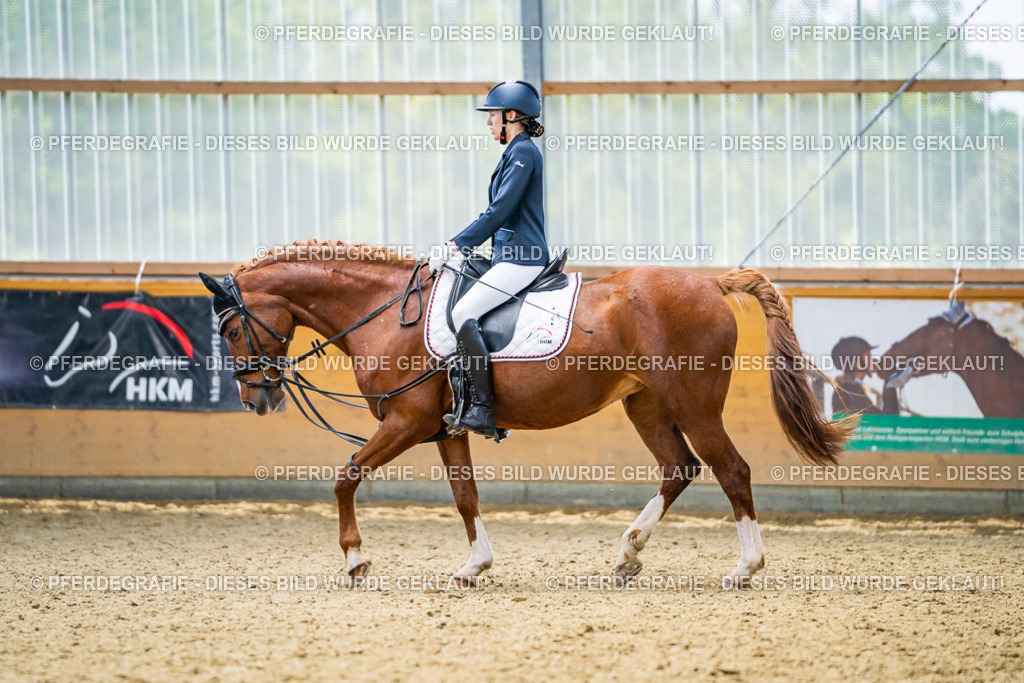 DSC04554 | Pferdegrafie