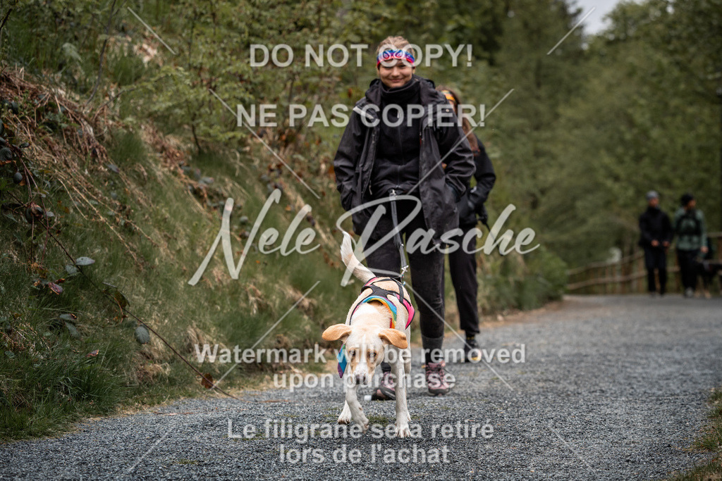 nelerasche_SaAbends_197 | nelerasche - Realisiert mit Pictrs.com