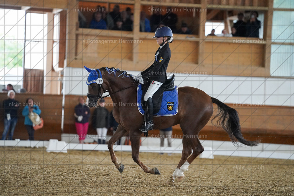 20240825-FAH09586 | Turnierbilder, Reitsportfotos, LAPO, Landesponyturnier, Turnierfotografen Bayern