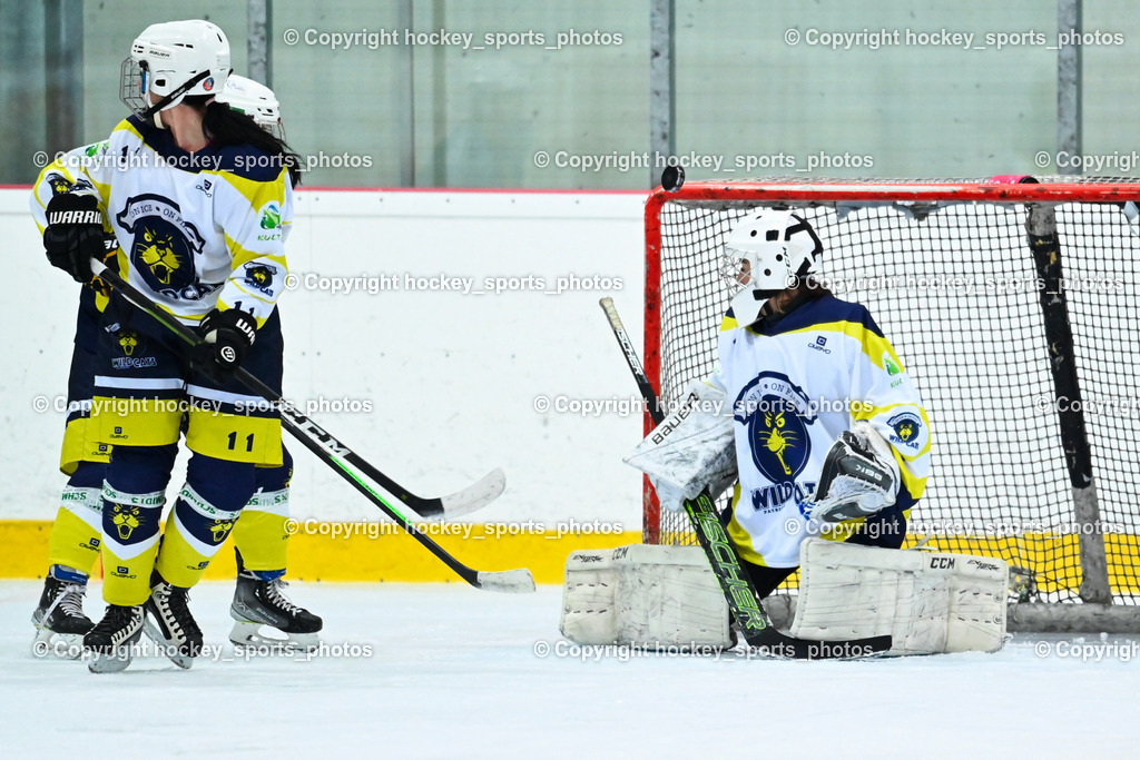 BST_6594 | hockey sports photos, Pressefotos, Sportfotos, hockey247, win 2day icehockeyleague, Handball Austria, Floorball Austria, ÖVV, Kärntner Eishockeyverband, KEHV, KFV, Kärntner Fussballverband, Österreichischer Volleyballverband, Alps Hockey League, ÖFB, 