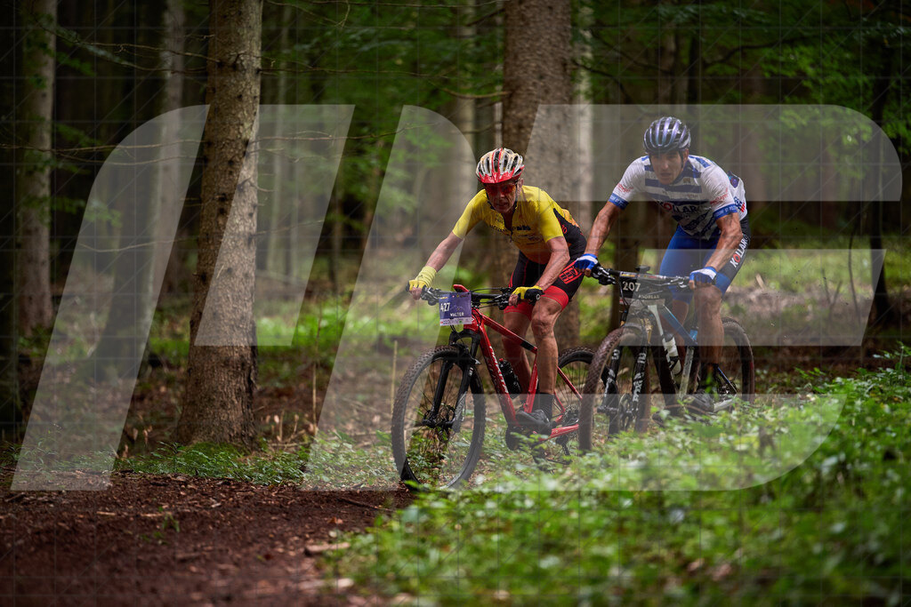 Betriebszentrum Laubenbachmühle, Frankenfels, Österreich - 13. September 2025: Dirndltal Race - Fun und Trophy RaceFotograf: Martin Bihounek / martinbihounek.com | 13. September 2025 Betriebszentrum Laubenbachmühle, Frankenfels, Österreich : Dirndltal Race - Fun und Trophy Race •••••Photo by: Martin Bihounek / martinbihounek.comInsta: @martinbihounekcom