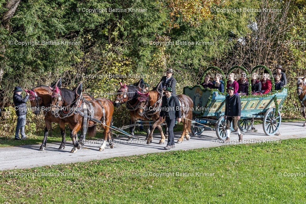LBT24-932 | foto-bettina-krinner - Realisiert mit Pictrs.com