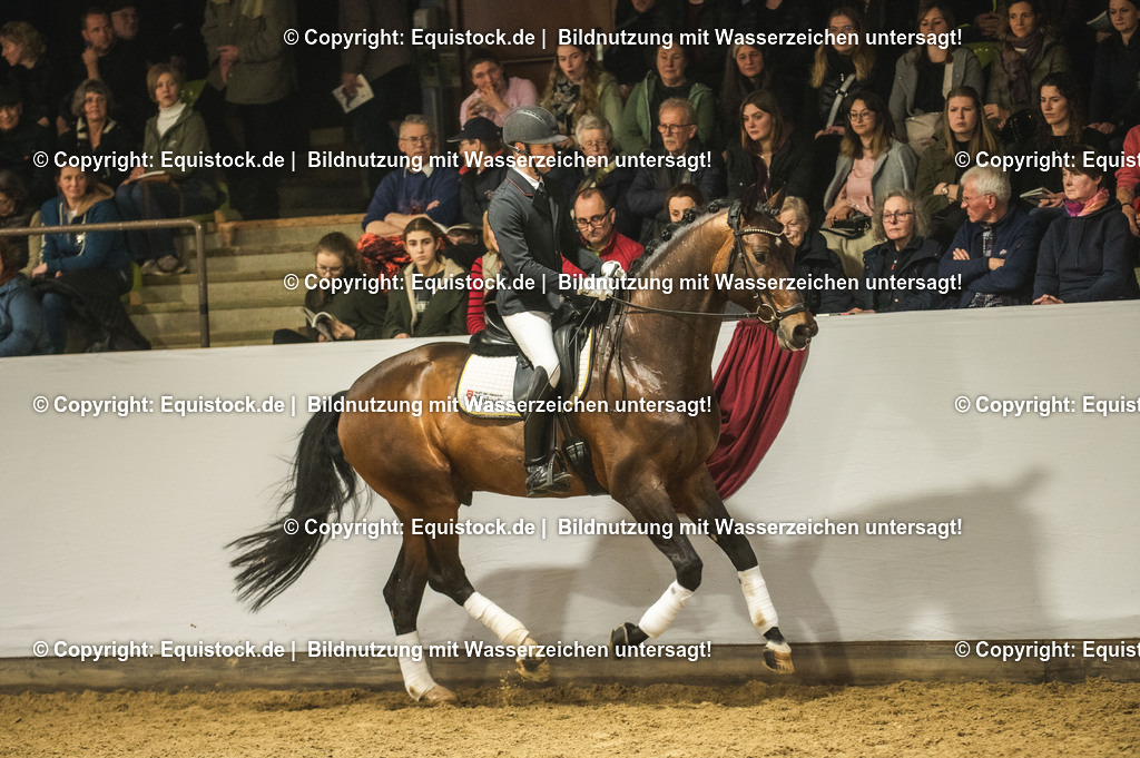20240302_Hengstvorstellung_Marbach_TOMsPiC_1213-2 | equistock