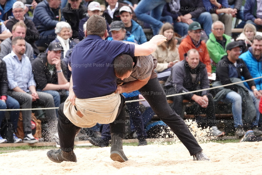 DSC03317 | Schwingen - Realisiert mit Pictrs.com