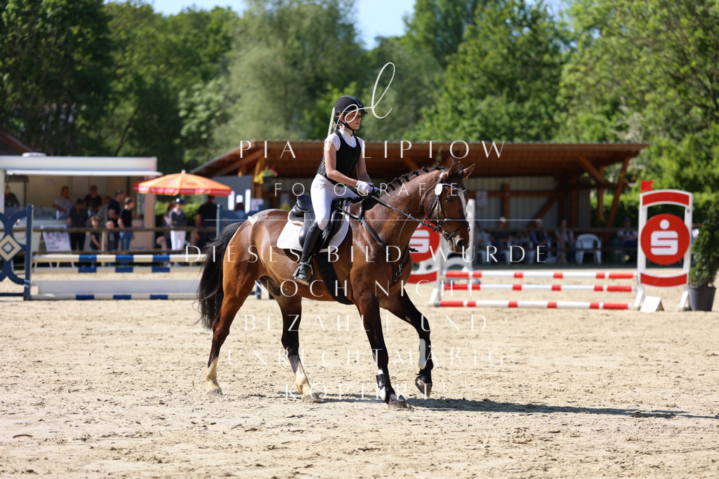 IMGS4668 | pl-fotografie