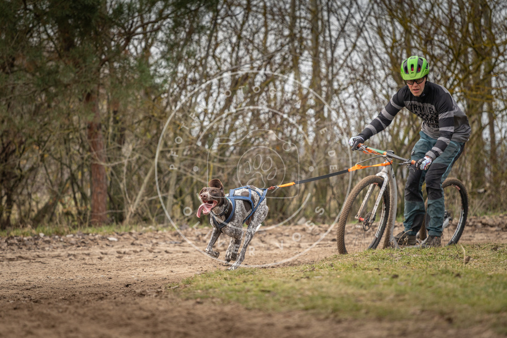 Pfotenfotografie_DV3A9453 | Hundefotografie, Tierfotograf, Pfotenfotografie, Fotoshooting Hund, Hunde Portrait, Hundesport, Hundeportraits, Heideshooting, Hunde, Sportfotograf, Hundefotograf, Turnierhundsport, THS,  - Realisiert mit Pictrs.com