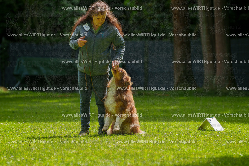 @allesWIRTHgut_Tierfotografie - www.allesWIRTHgut.de - 7R500848 | Professionelle Tierfotografie in Mönchengladbach von Daniel Wirth (allesWIRTHgut). Liebevolle & natürliche Bilder von Hunden & Katzen für unvergessliche Erinnerungen.
