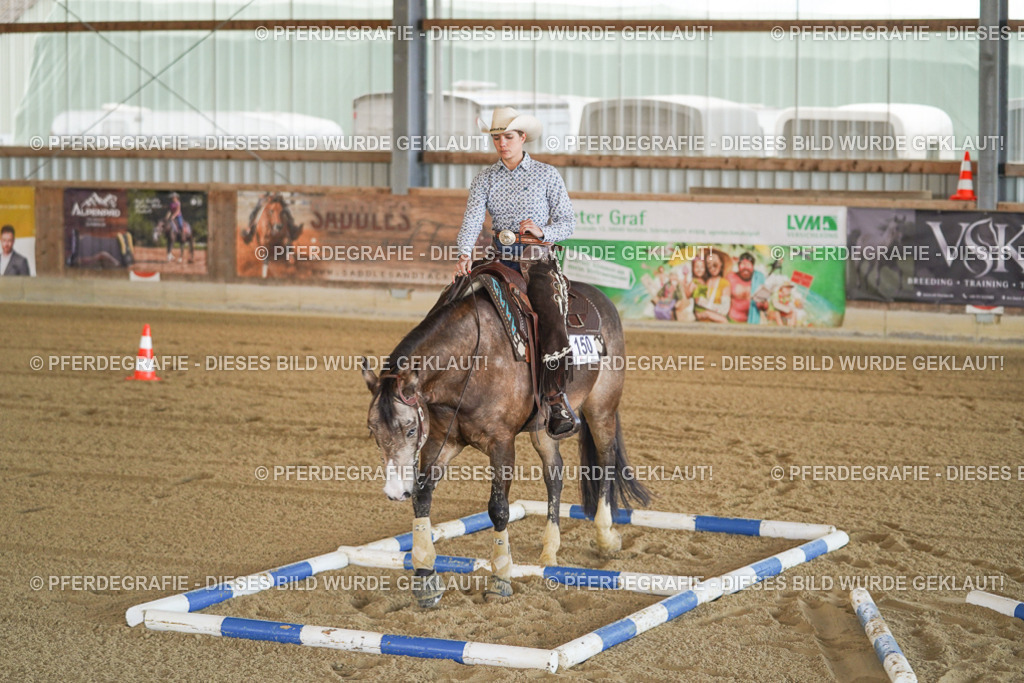 DSC00133 | Pferdegrafie