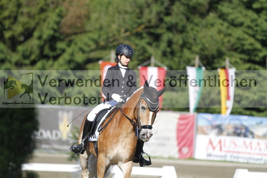 _MG_0463 | equestrian-live-com