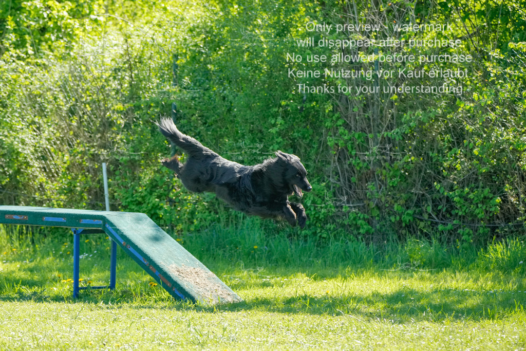 Sa_VK3_03-67 | stephaniefillaphotographie - Realisiert mit Pictrs.com