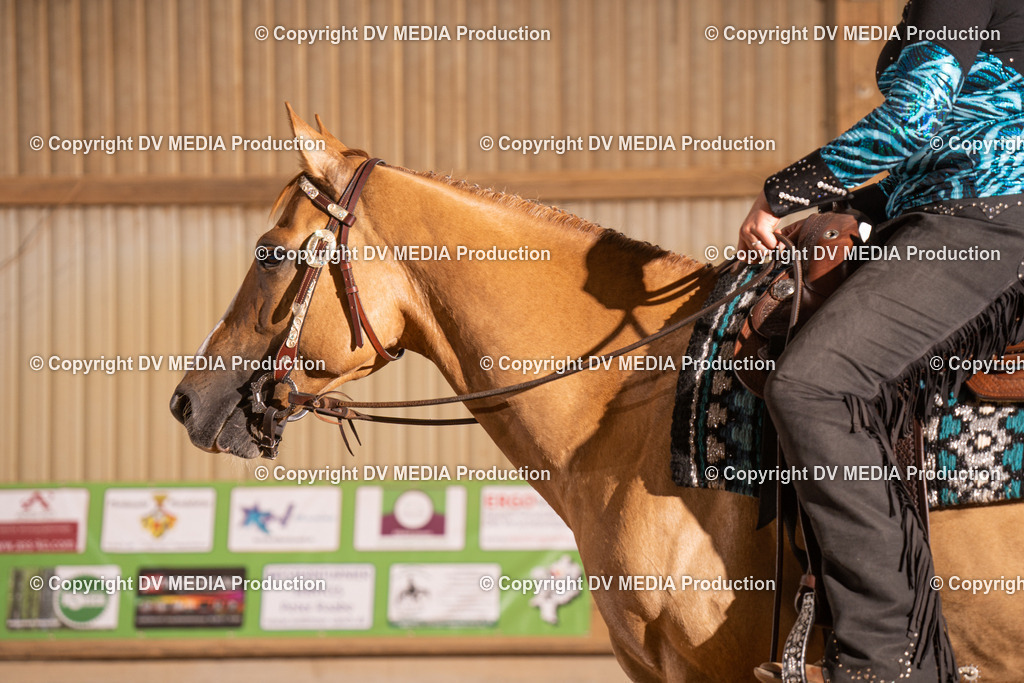 NID00850 | dv-media-shop - Realisiert mit Pictrs.com