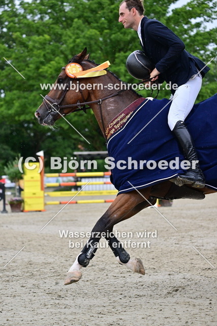 Clisco_Richard Vogel_878_7140 | Björn Schroeder Pferdefotografie