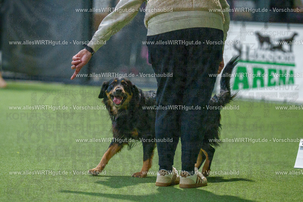 7R505433 | Professionelle Tierfotografie in Mönchengladbach von Daniel Wirth (allesWIRTHgut). Liebevolle & natürliche Bilder von Hunden & Katzen für unvergessliche Erinnerungen.