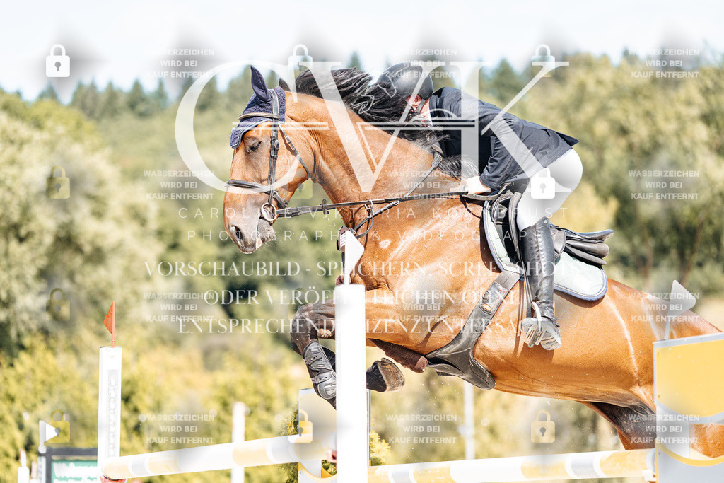 CK908830 | Turnierfotografie Pferdefotografie Trier Rheinland-Pfalz Pferdesport Reitsport Tierfotografie Sportfotografie Pferdevideo Pferdevideografie Equestrianvideography equestrianphotography  - Realisiert mit Pictrs.com