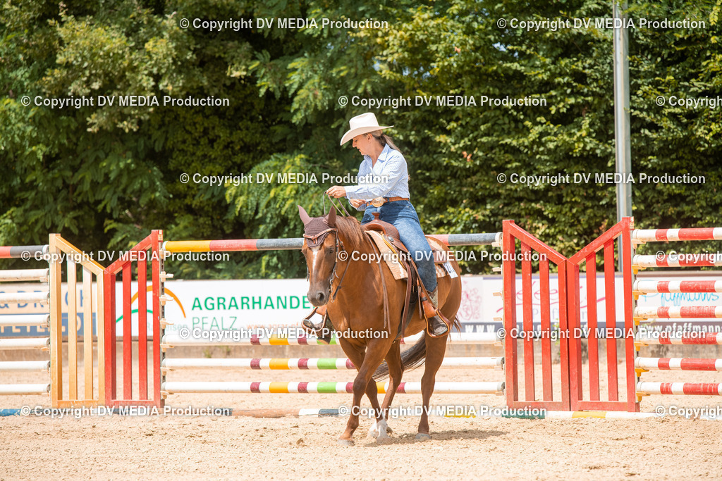 EWP_6256 | dv-media-shop - Realisiert mit Pictrs.com