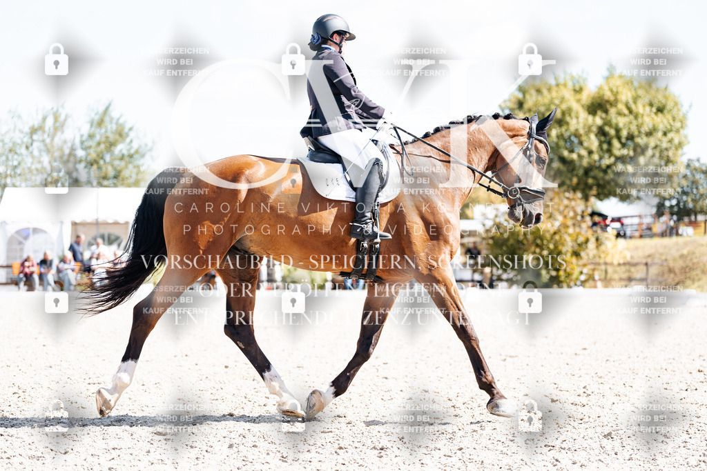 CK903184 | Turnierfotografie Pferdefotografie Trier Rheinland-Pfalz Pferdesport Reitsport Tierfotografie Sportfotografie Pferdevideo Pferdevideografie Equestrianvideography equestrianphotography  - Realisiert mit Pictrs.com