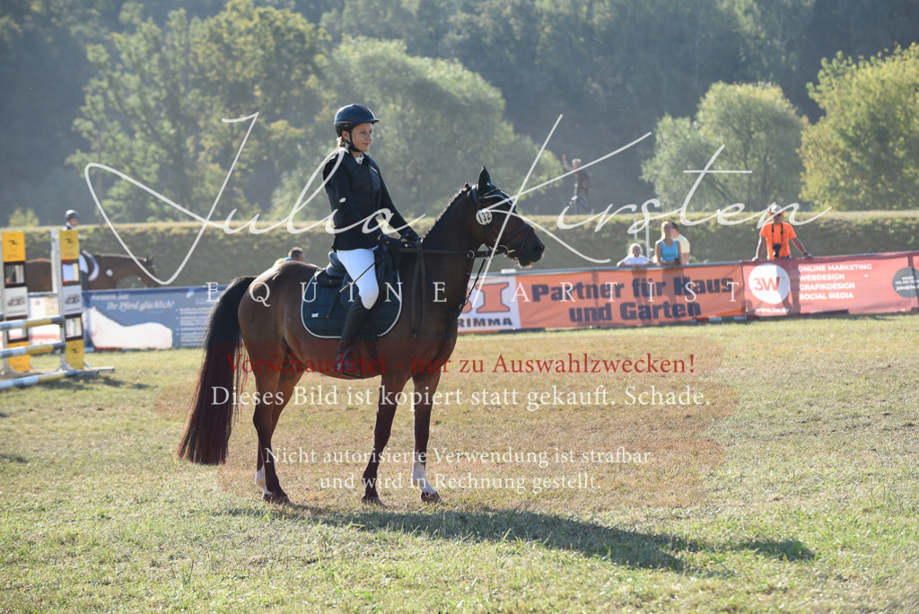 DSC_5538 | Pferde- und Turnierfotografie in Westsachsen. Pferdeportraits, Auftragszeichnungen und intuitive Kunst.