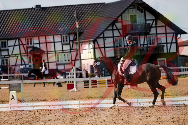 2026_10_03_Siefer-Hof_132124_Z63_82640520 | Professionelle Reitsport-, Turnier- und Eventfotografie von Robert Broda. Galerien mit ausgewählten und bearbeiteten Bildern direkt online ansehen und bestellen.