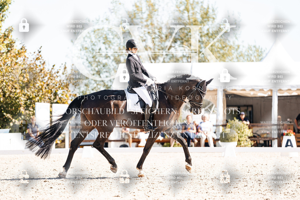 CK909373 | Turnierfotografie Pferdefotografie Trier Rheinland-Pfalz Pferdesport Reitsport Tierfotografie Sportfotografie Pferdevideo Pferdevideografie Equestrianvideography equestrianphotography  - Realisiert mit Pictrs.com