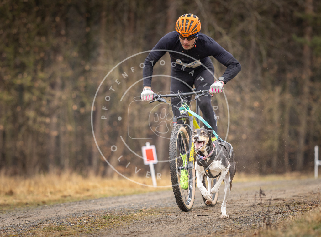 DV3A3190 | Hundefotografie, Tierfotograf, Pfotenfotografie, Fotoshooting Hund, Hunde Portrait, Hundesport, Hundeportraits, Heideshooting, Hunde, Sportfotograf, Hundefotograf, Turnierhundsport, THS,  - Realisiert mit Pictrs.com