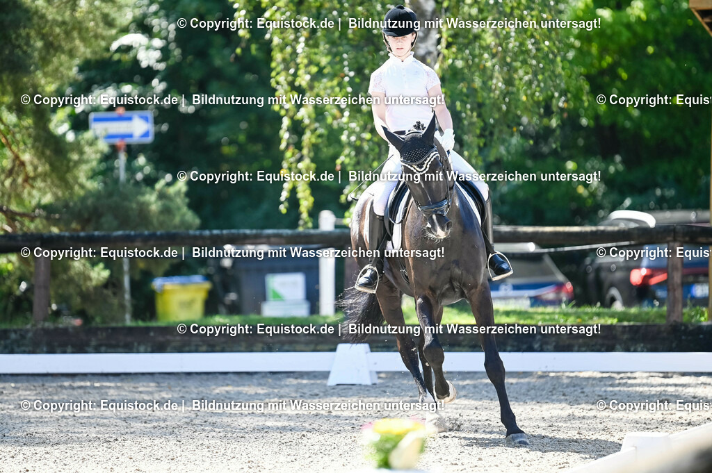 20230908_06_Dressur-L-Trense_0284 | equistock